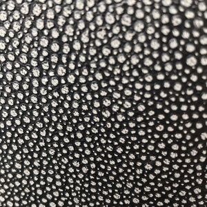 Meet your Posher, Jordyn